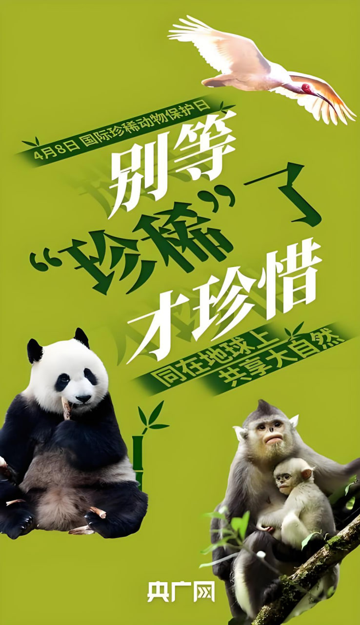 专题2